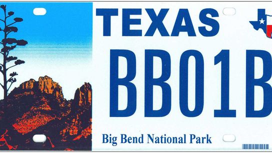 New to Texas? What 2025 Driver’s License Trends and New 2026 Specialty Plates Mean for You