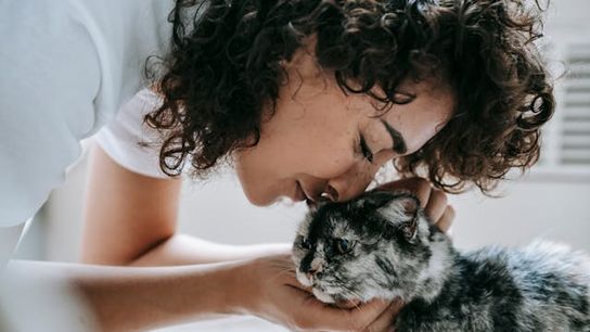 Austin Ranks Among Top 10 Cat-Friendly Cities in the U.S. (Live in Texas)