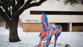 Free College Application Week Launches in Texas: Helping Students Apply to College for Free (Study in Texas)