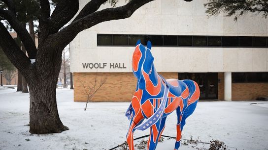 Free College Application Week Launches in Texas: Helping Students Apply to College for Free (Study in Texas)