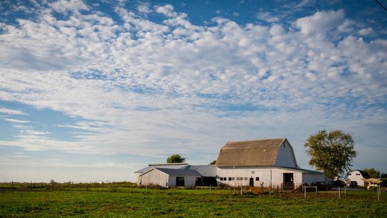 Where Are the $1 Homes in Texas? What Buyers Need to Know in Houston–Pasadena–The Woodlands (Live in Texas)